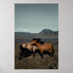 Poster Casal HORSE