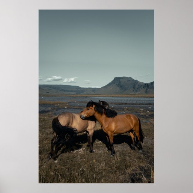 Poster Casal HORSE (Frente)