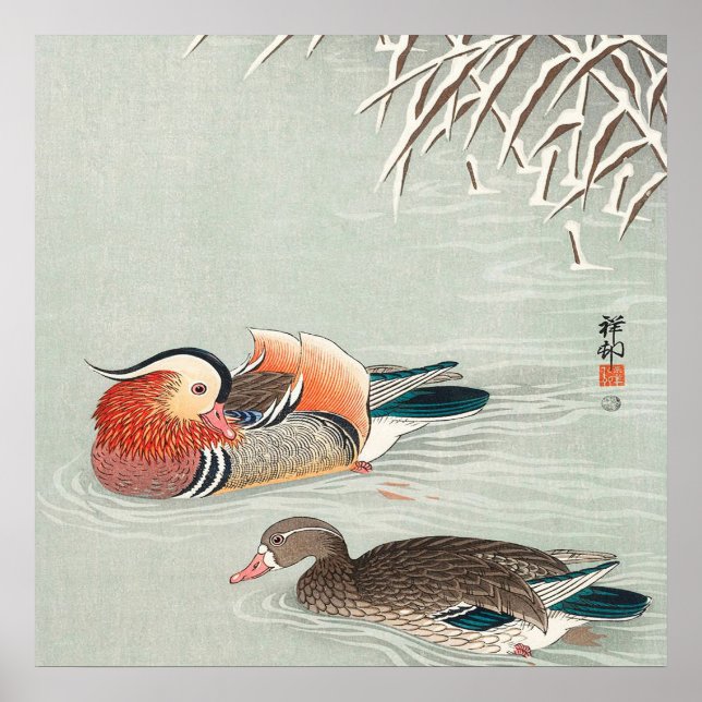 Poster Casal Mandarin Duck Design | Presente Ideal (Frente)