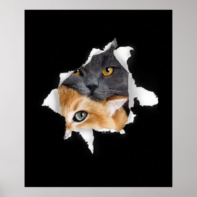 Poster Casal Sweet Kitten | Presente De Gato De Gato Engr (Frente)