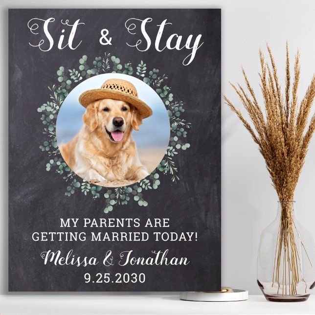 Poster Casamento de Pet Personalizado de Foto de Cão de B (Criador carregado)
