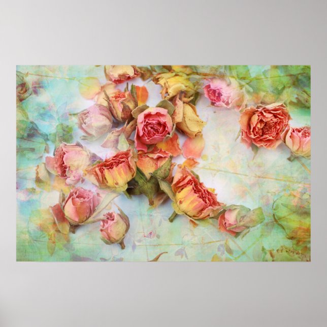 Póster Casamento de rosas secos (Frente)