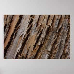 Póster Casca de Árvore I Design Texturizado Abstrato Natu