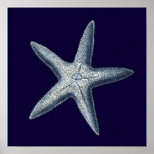 Póster Cascas de Indigo IV