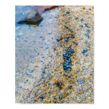 Cascas de mexilhão no Maine