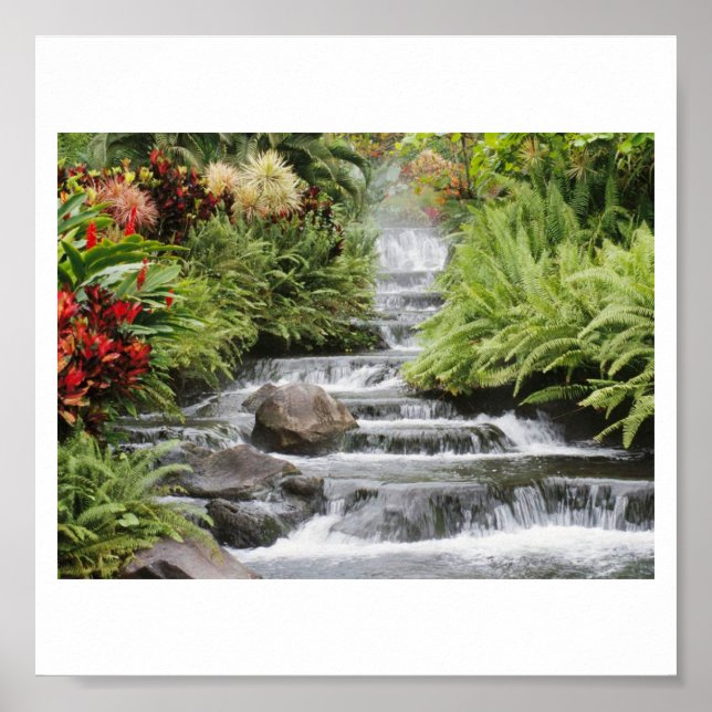 Poster Cascata (Frente)