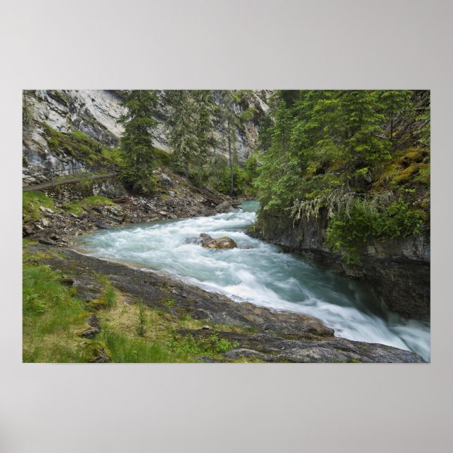 Póster Cascata (Frente)
