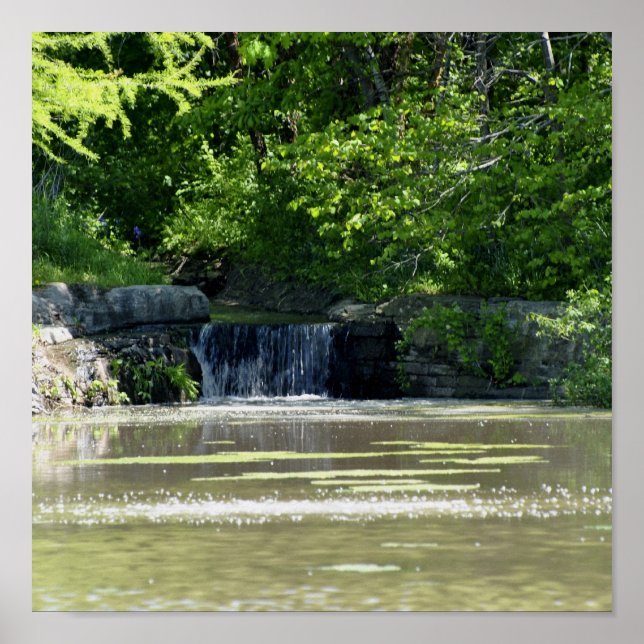 Póster cascata (Frente)
