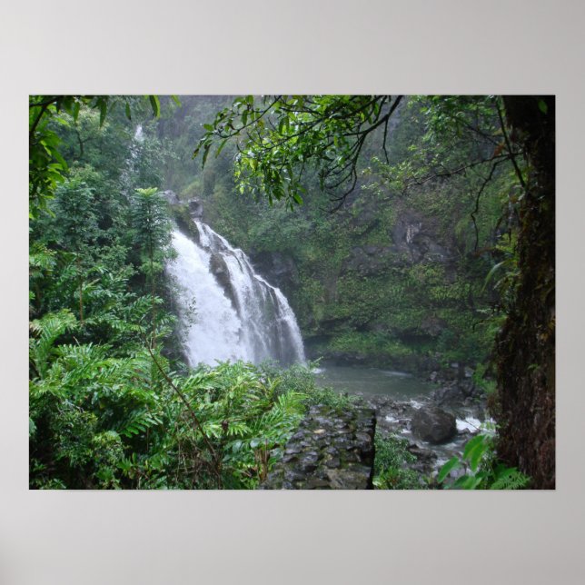 Póster Cascata (Frente)