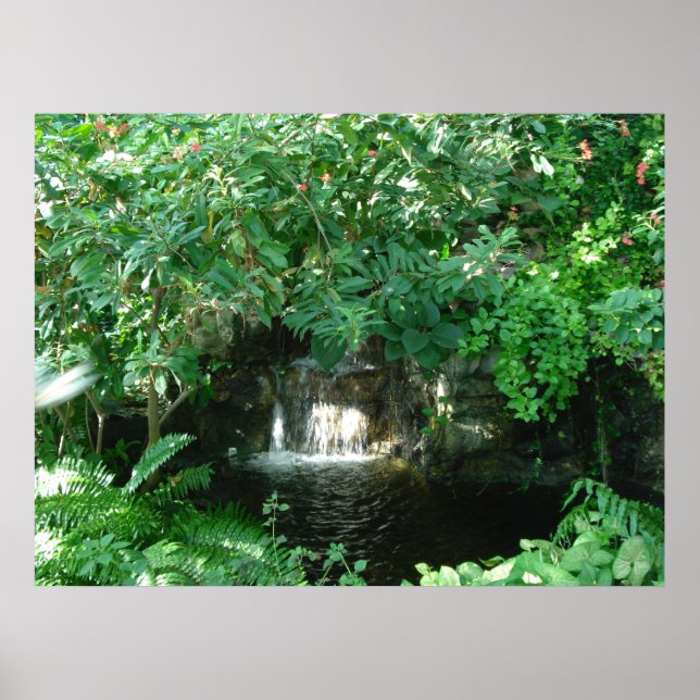 Póster cascata (Frente)