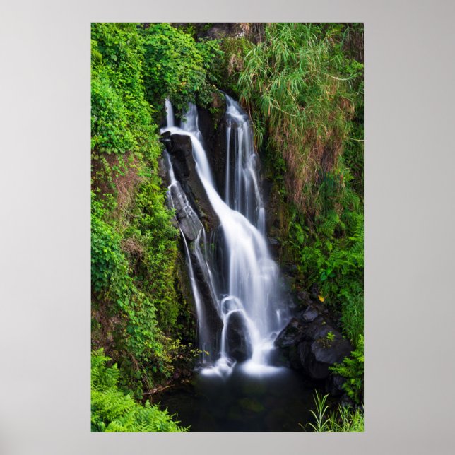 Póster Cascata, costa de Hamakua, Havaí (Frente)