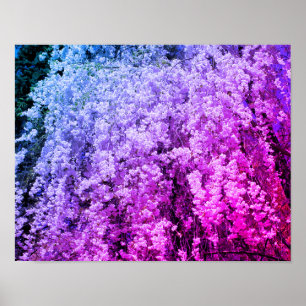 Poster Cascata De Primavera Flor De Abstrato
