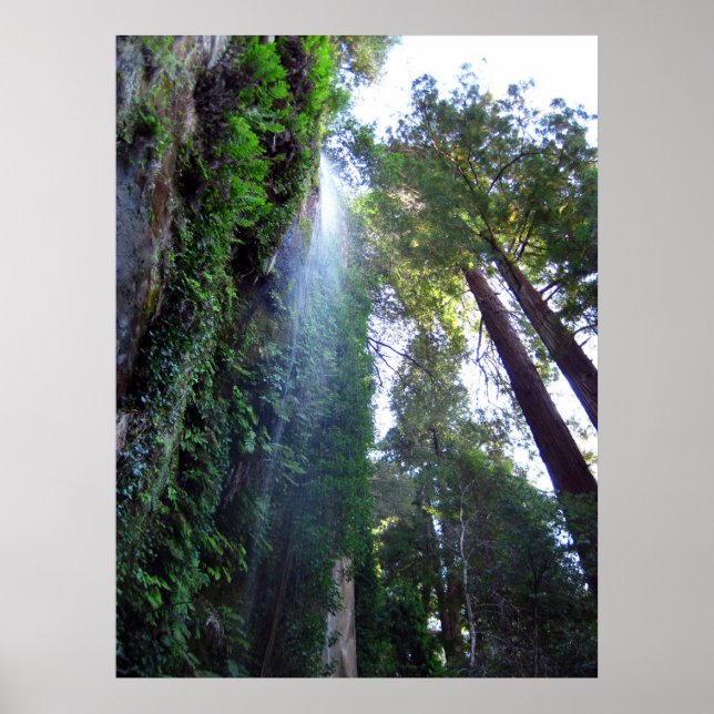 Póster Cascata e Cliff (Frente)