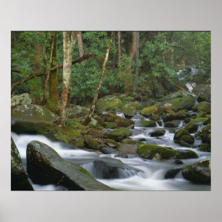 Póster Cascata em Cosby