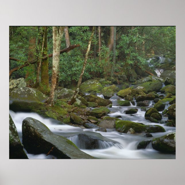 Póster Cascata em Cosby (Frente)