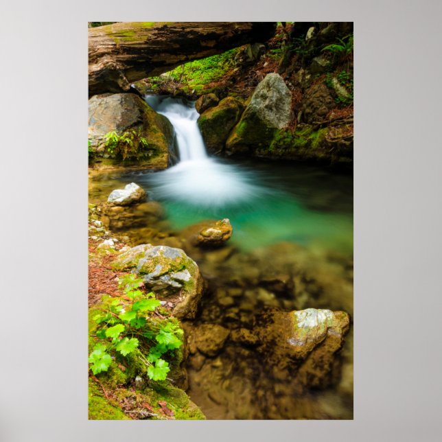 Póster Cascata em Hare Creek, Califórnia (Frente)