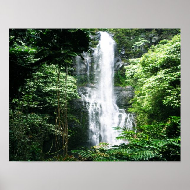 Poster Cascata Havaiana (Frente)