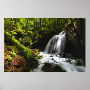 Poster Cascata mágica em floresta verde encantadora