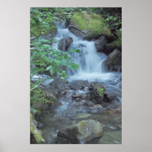 Poster Cascata não nomeada