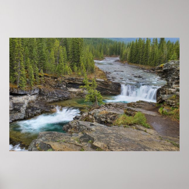 Poster Cascata Nas Montanhas Rochosas Canadianas (Frente)