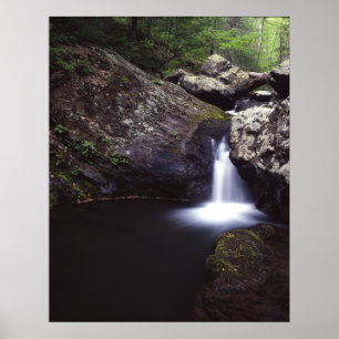Poster Cascata no rio do rosa