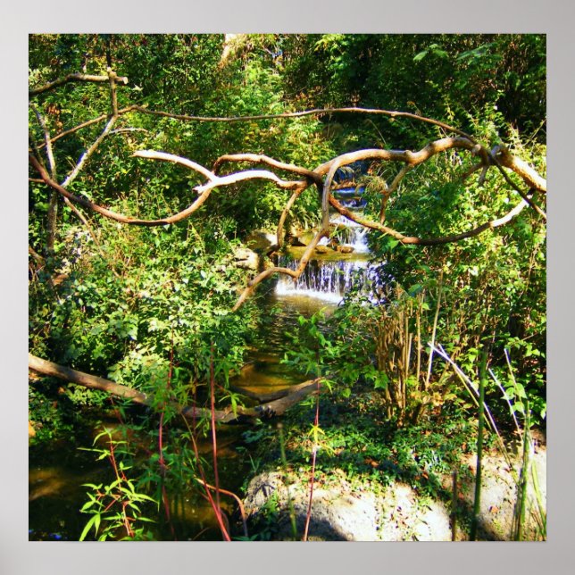 Póster Cascata oculta (Frente)