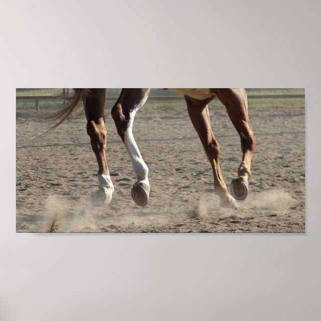 Póster Cascos em Movimento (Frente)