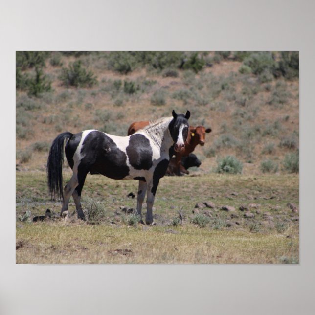 Poster Casino (Frente)