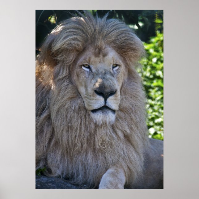 Poster Casper Print (Frente)