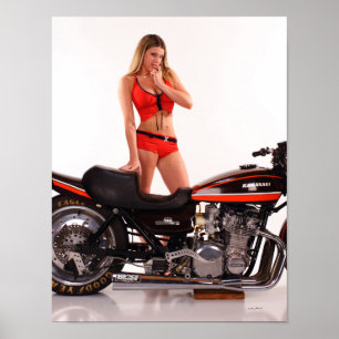 Póster Cassie e o Z1