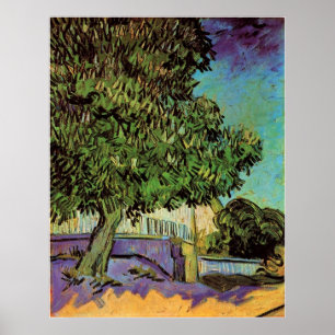 Poster Castanheira em Flor por Vincent van Gogh