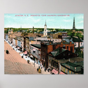 Póster Castanho-aloirado, New York, opinião de olho de