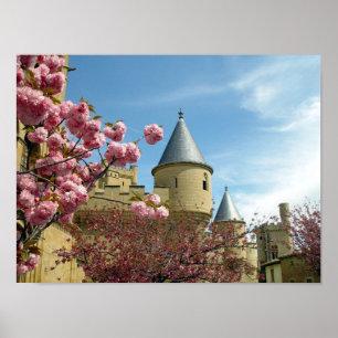 Poster Castelo e Flores