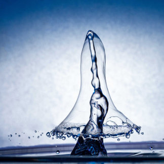 Póster Castle in a Teacup – A Fantasy World in Miniature