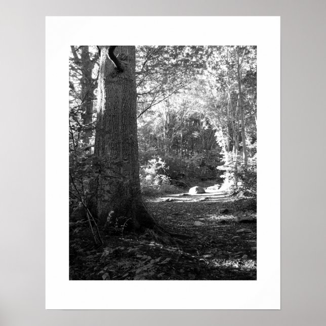 Poster Castlehead Wood: Keswick (Frente)