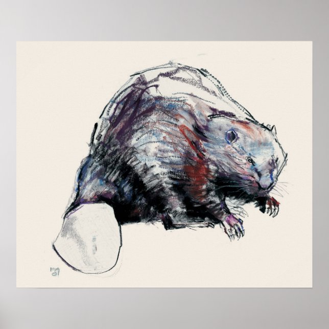 Póster Castor Fiber 2001 (Frente)