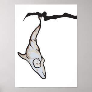 Póster casulo de golfinho-dormente