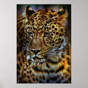 PÓSTER CAT-301154 FOTOGRAFIA ANIMAL LEOPARD DE GATO SELVA