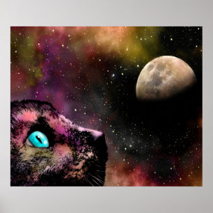 Poster Cat 619