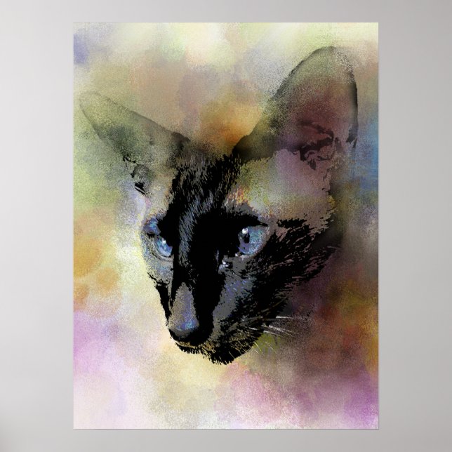 Poster Cat 620 Siamês (Frente)