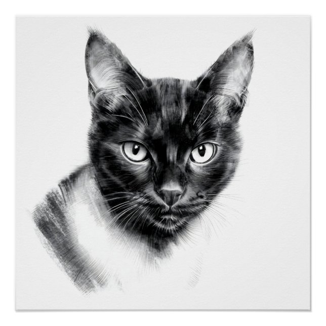 Póster Cat Charcoal (Frente)