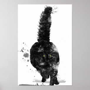 POSTER CAT DE RACUM PRETO DE MAINE -