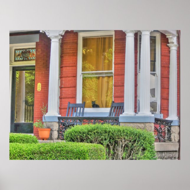 Poster Cat em uma janela (Frente)