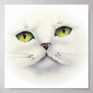 Póster cat face