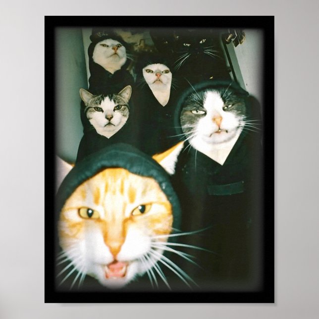 Poster Cat Gang Meme Funny Chaotic Cats Unhinged Feline H (Frente)