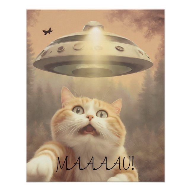 Póster Cat I Believe UFO Wall Poster Art (Frente)