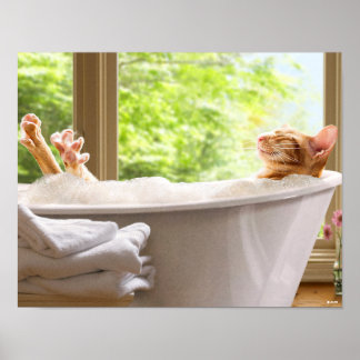 Poster Cat In Bubble Bath