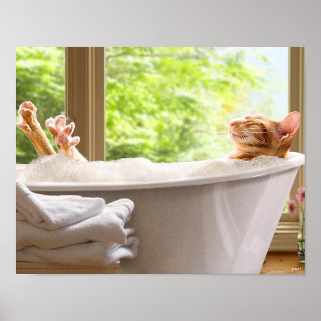 Poster Cat In Bubble Bath (Frente)