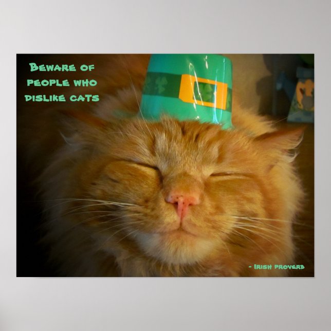 Poster Cat in Irish Hat com provérbio (Frente)