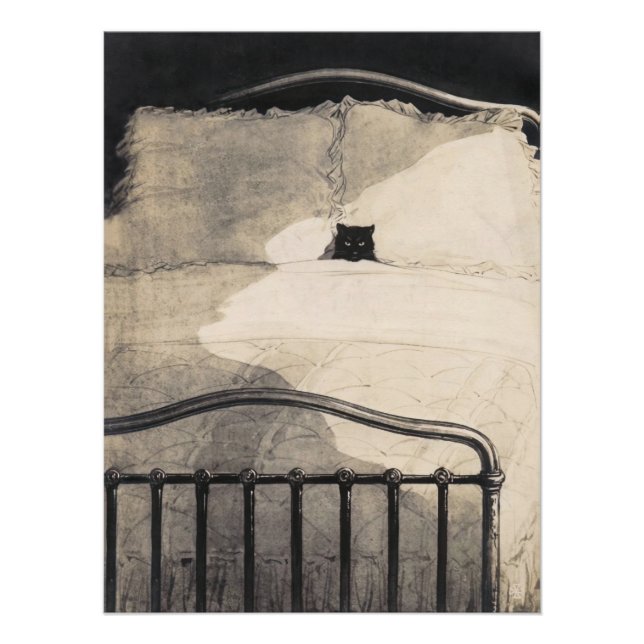 Póster Cat lying in bed Funny Vintage Print (Frente)